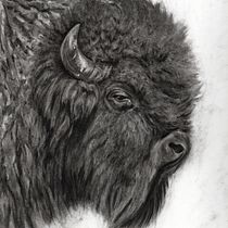 Animal illustrations. Desenho, Ilustração com tinta, Ilustração naturalista, e Artes plásticas projeto de Jen - 28.01.2026