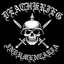 Deathkrieg. CSS, HTML, JavaScript, Web Design, Web Development, and Programming project by Álvaro Stears Salas - 01.28.2026