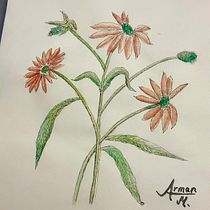 Flower study Ein Projekt aus dem Bereich Botanische Illustration, Zeichnung, Bildende Künste, Traditionelle Illustration, Malerei und Aquarellmalerei von Arman Mulic - 29.01.2026