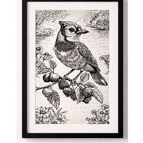 Ilustración con tinta y pluma . Menggambar Artistik, Menggambar, Ilustrasi Tinta, Ilustrasi Naturalistik, Buku sketsa, Dan Membuat sketsa proyek oleh Patricia Moravec - 01.29.2026