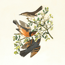 Imagen en movimiento. 3D, Motion Design with AI, Artificial Intelligence, Graphic Design, Motion Graphics, Photo, Video Editing with AI, Video, and Video Generation project by Esther Guizar - 02.03.2026