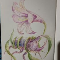 Desafio natural. Drawing, Pencil Drawing, Artistic Drawing, Traditional illustration, Naturalistic Illustration, and Colored Pencil Drawing project by Valentina Gomez - 02.06.2026