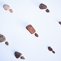 Naturaleza y forma . Arquitetura, Artes plásticas, Consultoria criativa, Direção de arte, Design editorial, Design gráfico, e Design de cenários projeto de laura_a_ - 09.02.2026