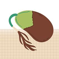 Clase la dispersión de las semillas . Pendidikan proyek oleh ptrelias - 02.09.2026
