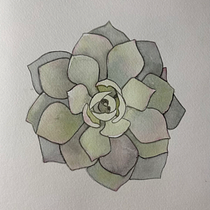 Cuaderno Botánico en Acuarela. Ilustração tradicional, Pintura em aquarela, Ilustração botânica, e Sketchbook projeto de Lidia López León - 10.02.2026