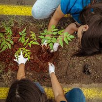 Análisis básico del sitio web ; ONG GREEN LÍDER Ein Projekt aus dem Bereich Growth Marketing, Marketing und SEM von Jorge Noguera - 11.02.2026