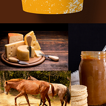 Empório 1961. Br, ing e Identidade, Teoria da cor, Design, Gestão de design, Design digital, Design editorial, Design gráfico, Design de logotipo, Tipografia, e Desenho tipográfico projeto de Fernanda Sena - 11.02.2026