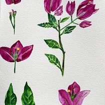 Bugambilia: Del Natural al Diseño. Artes plásticas, Desenho, Ilustração tradicional, Pintura, Pintura em aquarela, Ilustração botânica, Ilustração digital, Design gráfico, e Criatividade projeto de Barbara Rojas - 13.02.2026