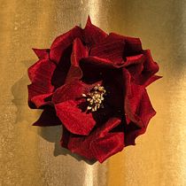 My red silk rose. Design floral e vegetal, e Design têxtil projeto de Kelvin Wong - 14.02.2026