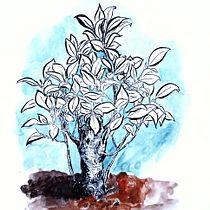 Bonsai. Sketching, Creativit, Drawing, Traditional illustration, and Sketchbook project by Amaya Narvarte Navarro - 02.15.2026