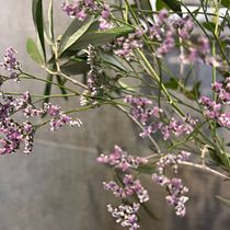 Floral Decoration: Spring Vibes X Domestika. Un proyecto de Decoración de interiores, Diseño floral, vegetal y Diseño de interiores de la33mail - 16.02.2026