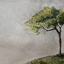 Akwarela techniką suchego pędzla . Een project van Botanische illustratie, Tekening, Beeldende kunst, Naturalistische illustratie, Schilderij y Aquarelschilderen van Natalia Kołodziej - 17.02.2026