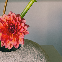 Less is more like Ikebana. Decoração de interiores, Design floral e vegetal, Interiores, e Design de interiores projeto de Serap Güneri - 19.02.2026