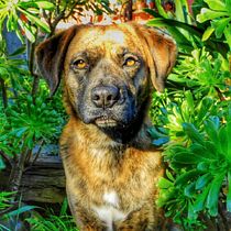 Fotos a Kyra. Photograph, Portrait Photograph, Lifest, le Photograph, Instagram Photograph, Documentar, and Photograph project by Mariola Alcalá - 02.20.2026