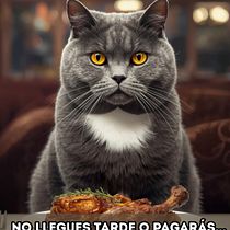 San Valentín bate la cola. Cop, writing, Criatividade, Marketing, Publicidade, e Redação de conteúdo projeto de Pili Ramirez - 21.02.2026