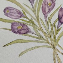 Crocus by Cami Ein Projekt aus dem Bereich Botanische Illustration, Zeichnung, Bildende Künste, Traditionelle Illustration, Malerei und Aquarellmalerei von Camila Ojeda - 21.02.2026