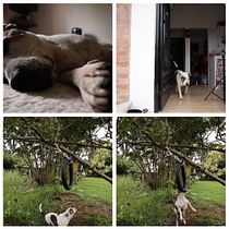 La rutina es disciplina . Digital Photograph, Fine-Art Photograph, Photographic Composition, and Photograph project by Rafael Segura - 02.24.2026