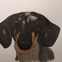 Sicha, mi modelo favorito. Un proyecto de Ilustración tradicional, Pintura a la acuarela, Bellas Artes e Ilustración naturalista de angeletaramoneta - 24.02.2026