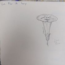 Mi diario ilustratado  Ein Projekt aus dem Bereich Bildende Künste, Skizzenentwurf, Kreativität, Zeichnung, Sketchbook und Achtsamkeit von Diana Parra - 25.02.2026