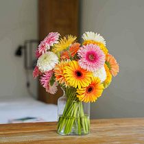 TUL&BERA. Br, ing, Identit, Design, Logo Design, Graphic Design, T, pograph, Design, T, and pograph project by elena Escobar Puerta - 02.26.2026