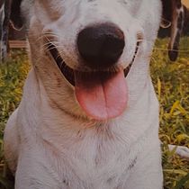 Dibujo anatómico. Un proyecto de Dibujo, Dibujo a lápiz, Dibujo anatómico y Bocetado de Lucia Antonella Florindo Espinoza - 01.03.2026