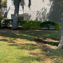 Coral Agisoft Ein Projekt aus dem Bereich 3D, 3-D-Design, Design für Videospiele, 3-D-Modellierung und Videospiele von sarahpachecolete23 - 01.03.2026