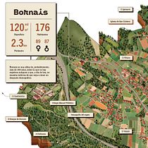 Infografías para O Bosque de Bornais. Graphic Design, Infographics, Information Design & Interactive Design project by Antia Otero C. - 03.02.2026
