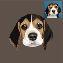 Proyecto Beagle. Traditional illustration, and Naturalistic Illustration project by Enrique Medellín Rojas - 03.11.2026