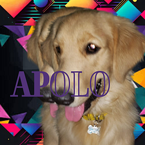 APOLO. Design, Branding, Identity, Design Management, Editorial Design, Graphic Design, Typography, Logo Design, Digital Design, Typography Design, and Color Theory project by Maira Arias - 03.12.2026