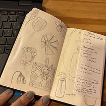 Começando com flores . Sketching, Creativit, Drawing, Traditional illustration, and Sketchbook project by letbc0300 - 03.13.2026