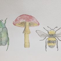 Proyecto final . Un progetto di Illustrazione tradizionale, Disegno, Pittura ad acquerello e Illustrazione naturalistica di perazaadri - 14.03.2026