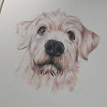cachorro. Traditional illustration, and Naturalistic Illustration project by Maria Júlia Damiani - 03.15.2026