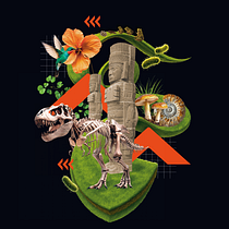 Descripción de organismos biológicos y procesos evolutivos. Graphic Design, Collage, Editorial Illustration, and Digital Illustration project by Denhy Monroy - 03.20.2026