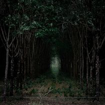 VERDE EN RUEDAS. Photographic Composition, Photograph, Digital Photograph, Photo Retouching, and Color Theor project by santiago camacho - 03.20.2026