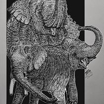 Meu projecto final do curso de Ilustração de Animais Selvagens por Alberto Russo. Een project van  Tekening,  Illustratie met inkt, Naturalistische illustratie y  Schetsen van António Anjos Mendonça - 20.03.2026
