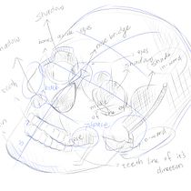 skull anatomy and persepctive Ein Projekt aus dem Bereich Bildende Künste, Bleistiftzeichnung, Zeichnung, Realistische Zeichnung und Anatomische Zeichnung von MiamMiam Wang - 22.03.2026