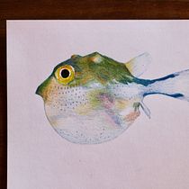 Experience . Sketching, Creativit, Drawing, Traditional illustration, and Sketchbook project by Montse López - 03.23.2026