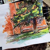 Watercolor Travel Journal Practice and Plein Air Ein Projekt aus dem Bereich Traditionelle Illustration, Aquarellmalerei, Sketchbook, Botanische Illustration, H und werk von Elena Todorova - 24.03.2026