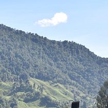 Proyecto Jimena Gallo. AI Content Creation, ChatGPT, Communication, Content Marketing, Creative Consulting, AI programming, LLMs, Intelligent Assistants, Text, Stor, telling with AI, Workflow Automation, and Custom Model Training project by jgalloc - 03.28.2026