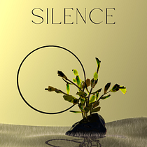 My project for course: Still-Life Composition in 3D. 3D, and 3D Design project by Butrint Jupolli - 03.31.2026