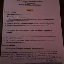 Proyecto final domestika. Mobile Photograph, Digital Photograph, Digital Marketing, Social Media, Mobile Marketing, Instagram, Content Marketing, Instagram Photograph, Instagram Marketing, Lifest, and le Photograph project by Gia Belén Villavicencio Briones - 04.06.2026