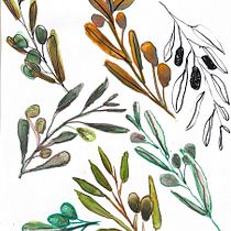 Ramas de olivo, sandías y calabazas.. Fine Arts, Design, Traditional illustration, Painting, Creativit, and Sketchbook project by sonia_ummyumna - 04.08.2026