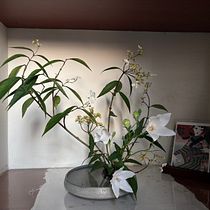 Spring Stillness – A Journey through Traditional Ikebana. Decoration, Floral, Plant Design & Interior Decoration project by Wing Yan Lau - 04.10.2026