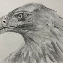 Charcoal Project . Arte plastice, Desen, Desen de portret & Ilustrație naturalistă de Robbie - 04.13.2026