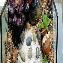 TERRARIO ORIGENES DE MI TIERRA Ein Projekt aus dem Bereich Erweiterungsentwicklung, Dekoration von Innenräumen, DIY, Blumen- und Pflanzendesign und Innendesign von Julia Oblitas - 16.04.2026