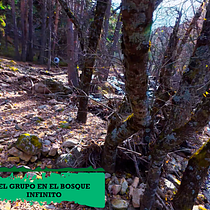El Bosque Infinito (2026)-Guido Castro. Film, Film, Video, and TV project by Guido Castro - 04.19.2026