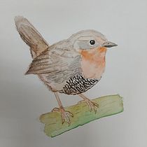 Animales del sur de Chile. Fine Arts, Painting, Traditional illustration, and Watercolor Painting project by Caren Márquez Elgueta - 04.20.2026