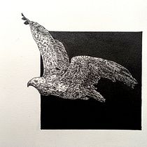 Der König der Lüfte . Een project van  Tekening,  Illustratie met inkt, Naturalistische illustratie y  Schetsen van Katja Bader - 20.04.2026