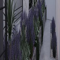 jardín de niños. Architecture, L, scape Architecture, and Spatial Design project by Pedro Alberto Alejandre - 04.21.2026