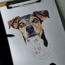 Tica. Traditional illustration, and Naturalistic Illustration project by Henrique da Silva - 04.30.2026